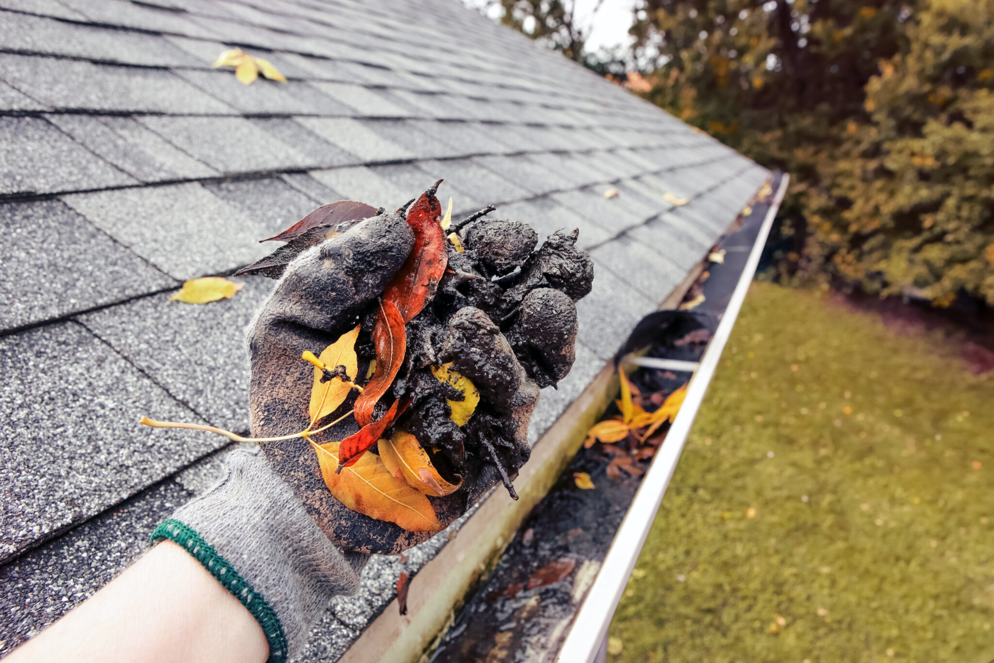 Gutter Maintenance And Repair Molandes Roofing